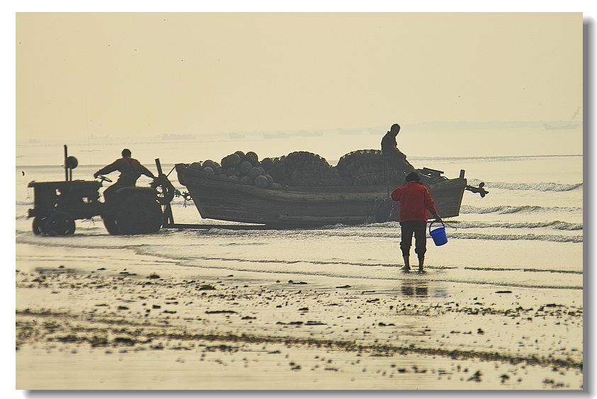 赶海 摄影 jifeng0058