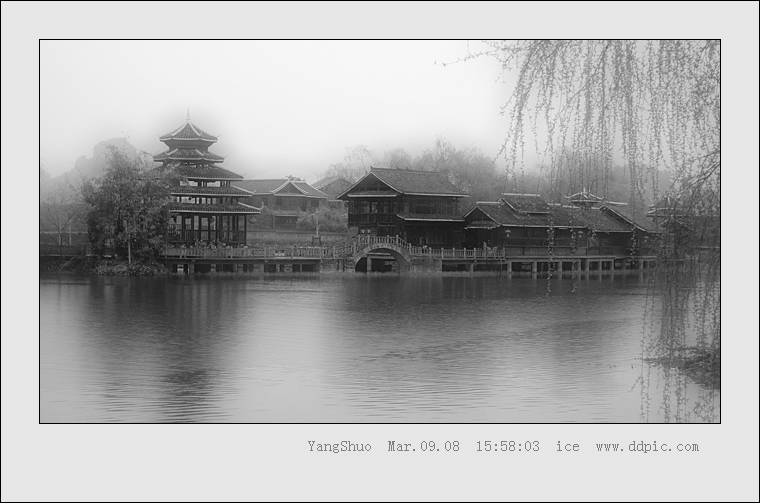 桃园春雨 摄影 千层雪