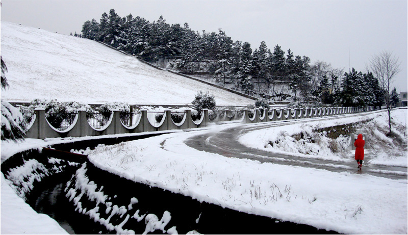 踏雪 摄影 千里马