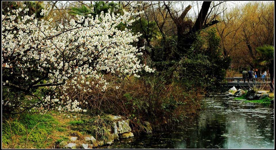 梅山花海九九天 摄影 lingsu