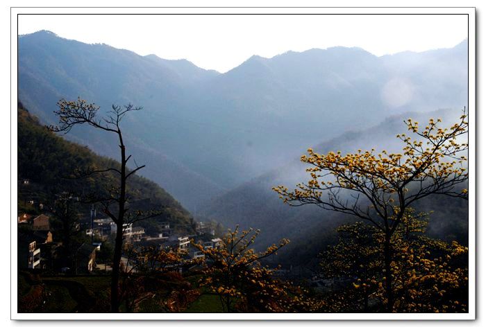 春临山村 摄影 秋雨潇潇