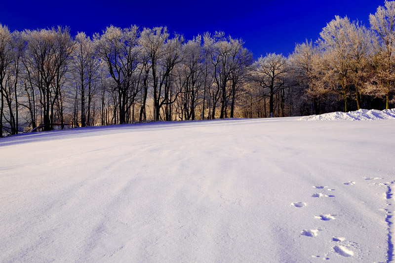 Blue Knob, Pennsylvania, USA 摄影 yuhan