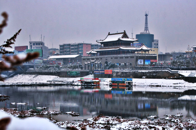 锦江雪 摄影 LZP高安