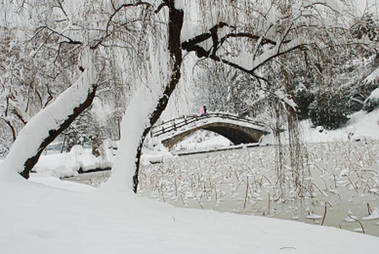 雪景 摄影 七月流星