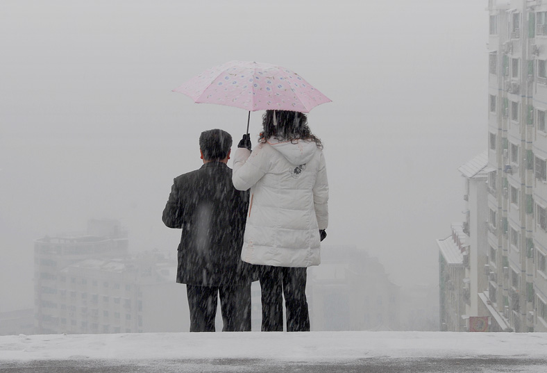 风雪中 摄影 摄欲