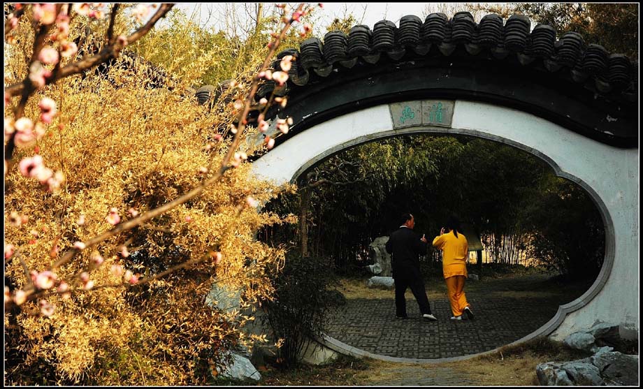 梅山花海九九天 摄影 lingsu