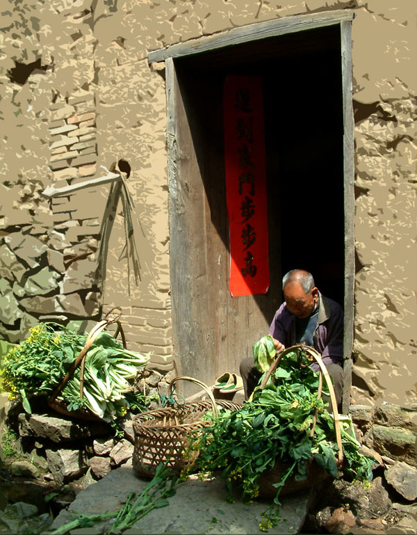 农家乐 摄影 林雨