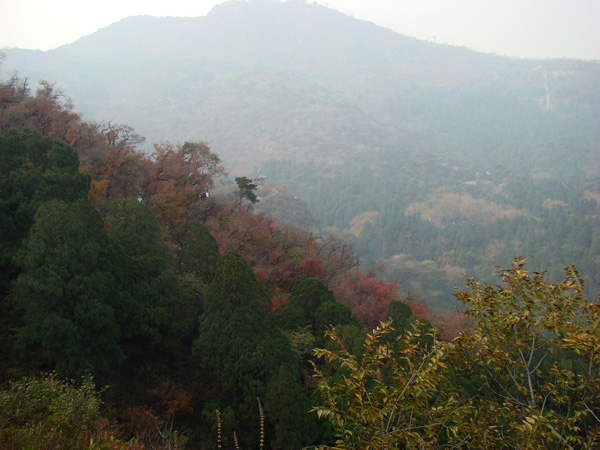 香山秋日 摄影 静峰