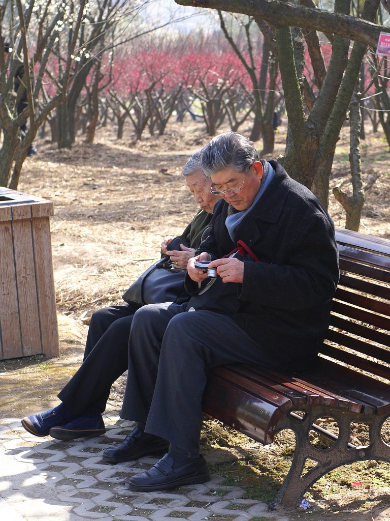 梅花节的游客 摄影 银色黄金