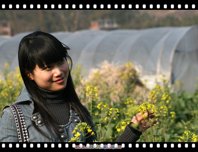 油菜花开的日子 摄影 小城流浪者