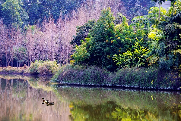 福州公园小景 摄影 老贵