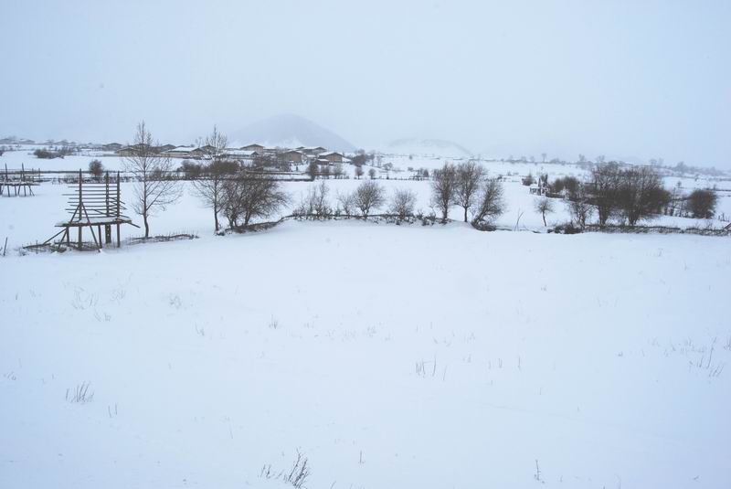 香格里拉的雪景 摄影 狼康益西