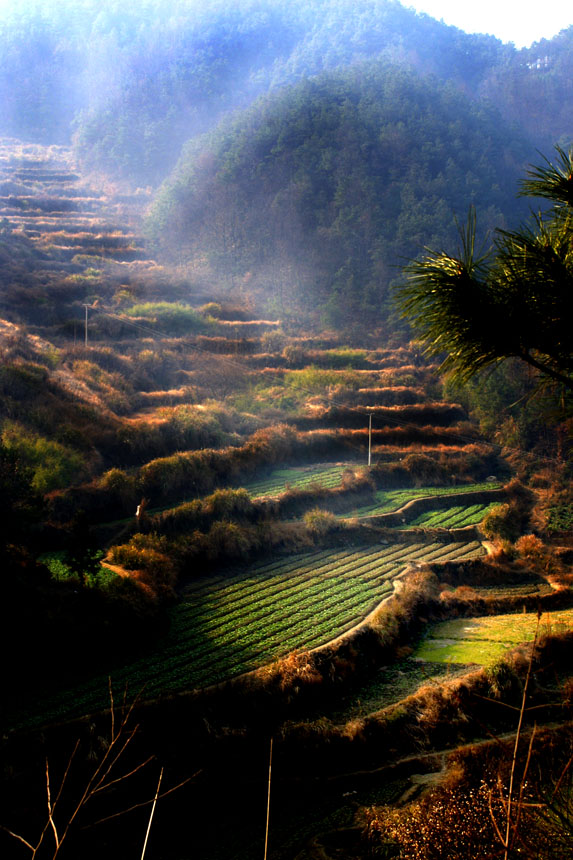 早春龙池 摄影 龙池山水