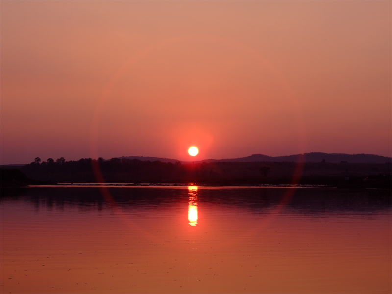 夕阳红 摄影 阿林虎头