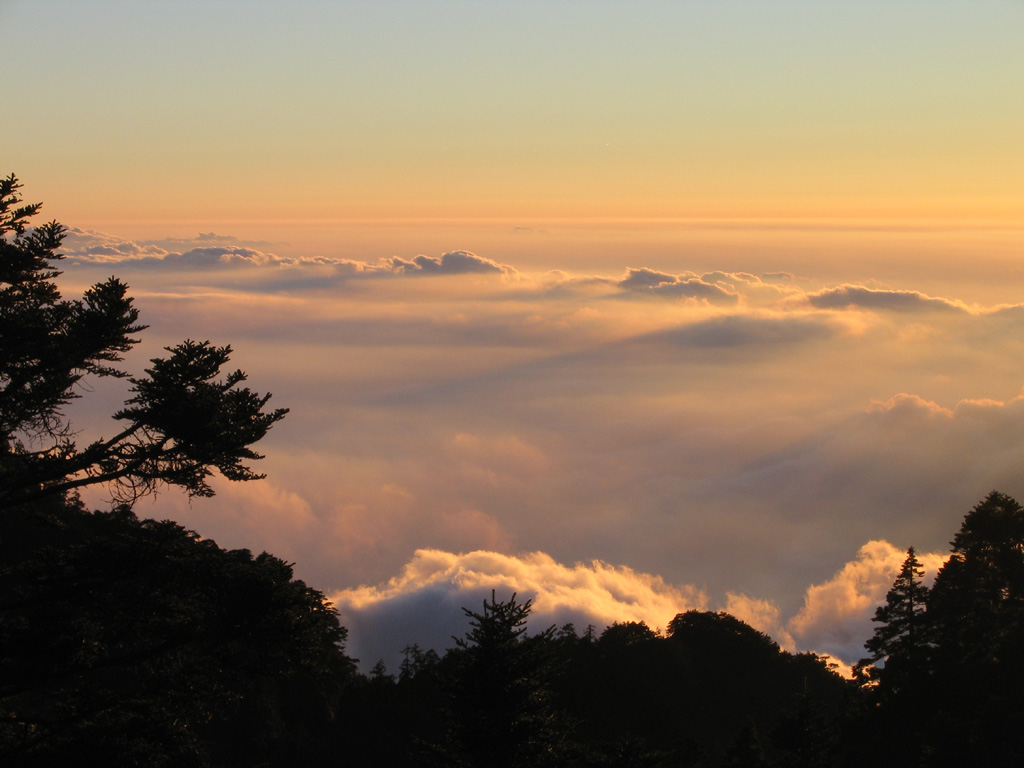 玉山雲海 摄影 高思