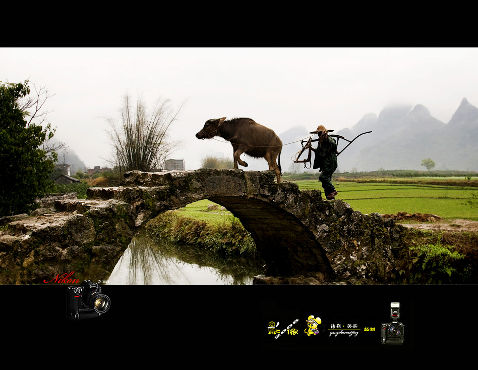 影 像·2008 №：≤63≥ 摄影 阳朔美景