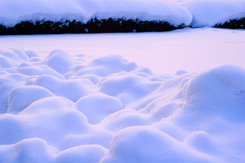 《江南雪》（3） 摄影 晓风晨曦