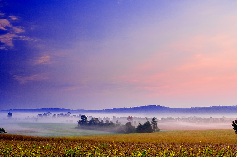 Summer Morning, PA, USA 摄影 yuhan