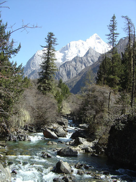 雪山下的山林 摄影 明月风清