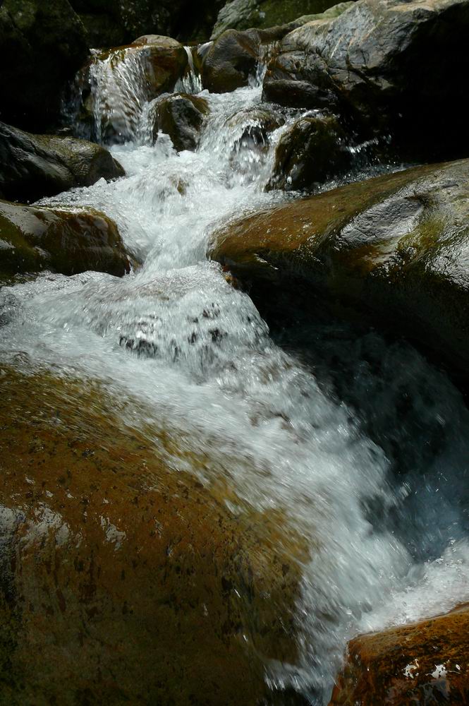 南宁后花园的一处风景--下水源 摄影 风水会计