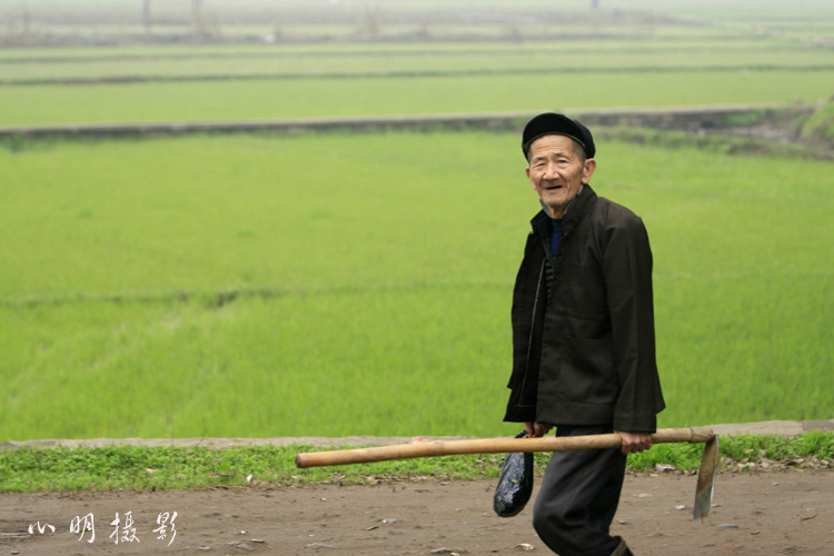 早春 摄影 心明