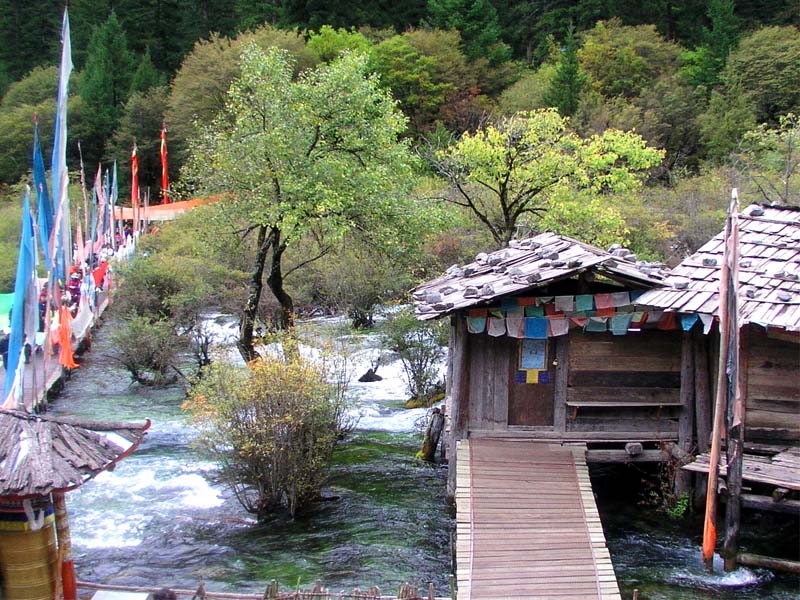 九寨沟(树正山寨景区) 摄影 苏小舟