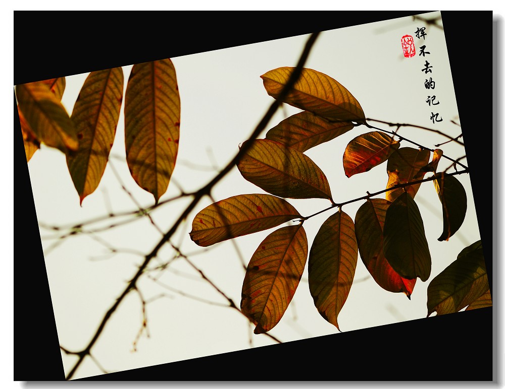 挥不去的记忆 摄影 四驱越野