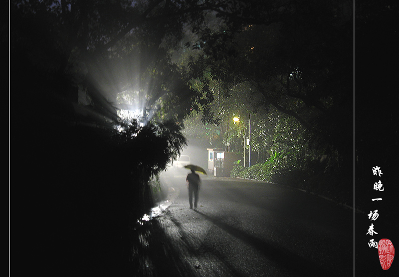 春雨 摄影 路明