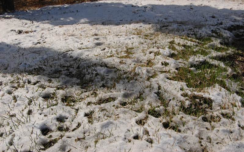 雪 摄影 鱼钩