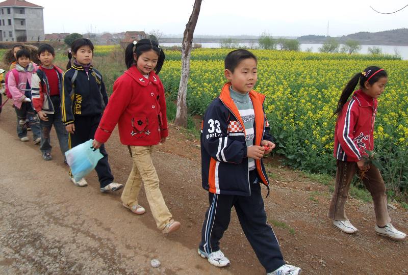 放学路上菜花香 摄影 楚石