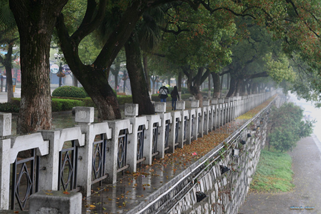 雨后 摄影 youzi