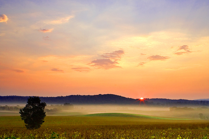 Summer Sunrise, PA, USA 摄影 yuhan