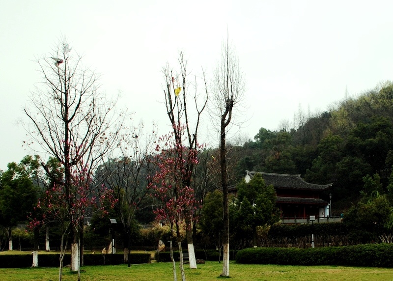 龙山的早晨 摄影 叶韵