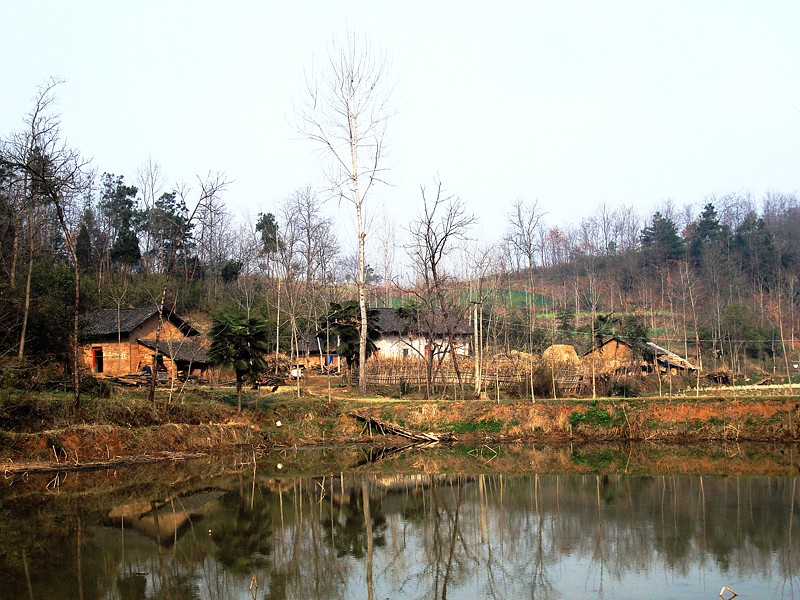 乡村小景 摄影 千里马