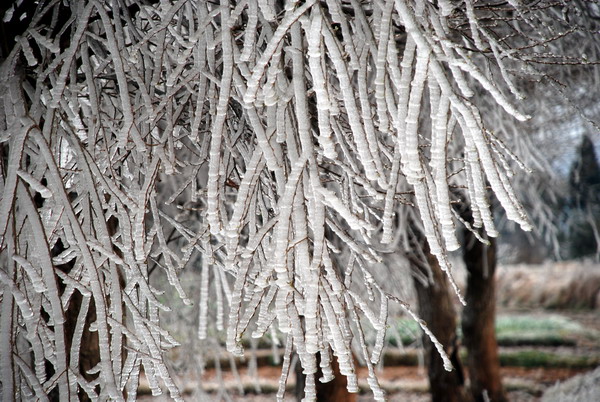 冰雪吟唱的冬 摄影 金秋雨