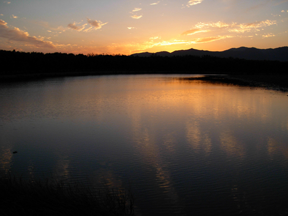 夕阳下 摄影 漫步夕阳下