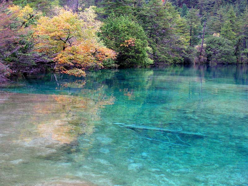 九寨沟(火花海景区) 摄影 苏小舟