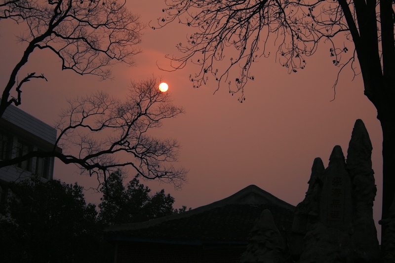 夕阳西下 摄影 轻轻杨柳