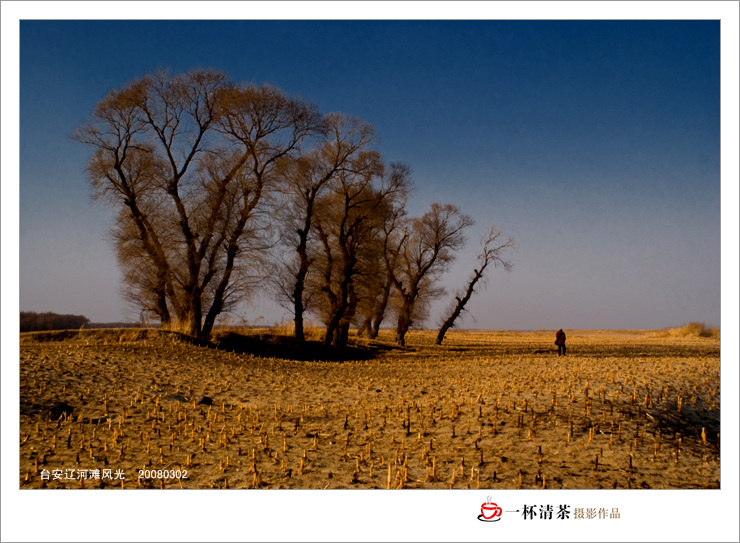 身边的风景：台安辽河滩风光--1 摄影 一杯清茶23