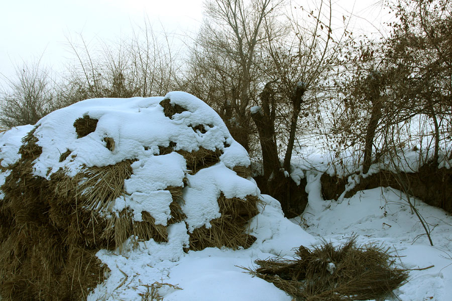 雪景 摄影 贾广顺