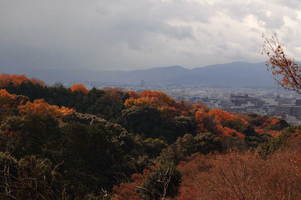 京都02 摄影 静之