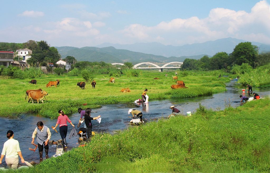 家乡河水清又清 摄影 公正