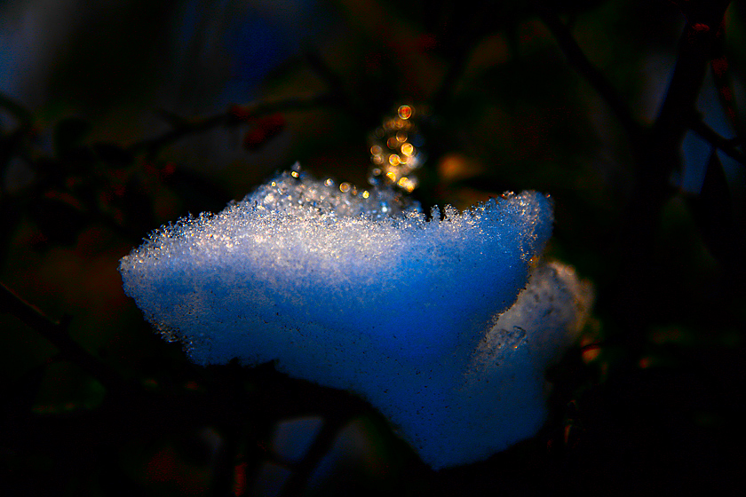 雪影 摄影 尹成