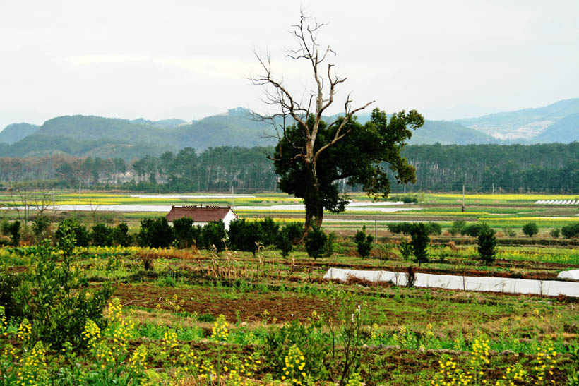 雨后乡村 摄影 chau