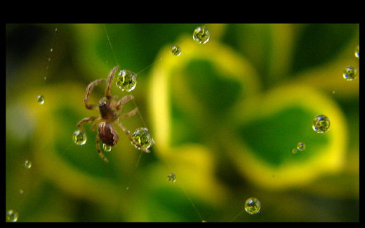 风雨无阻 摄影 黄帅