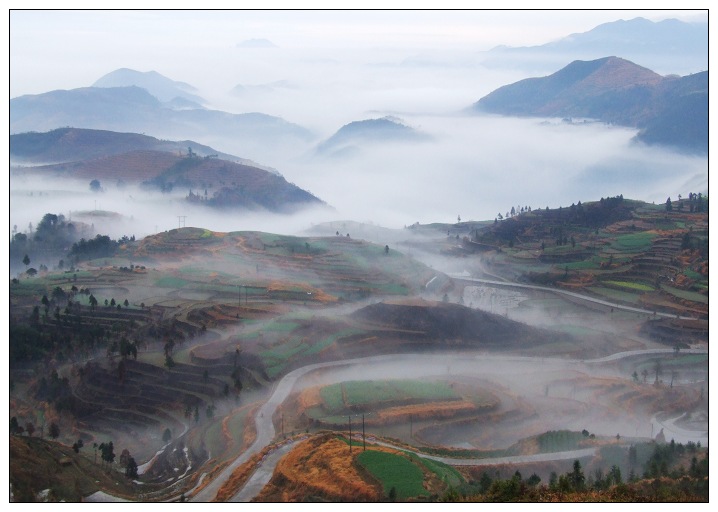 春雾绕茗岙 摄影 茗岙老胡