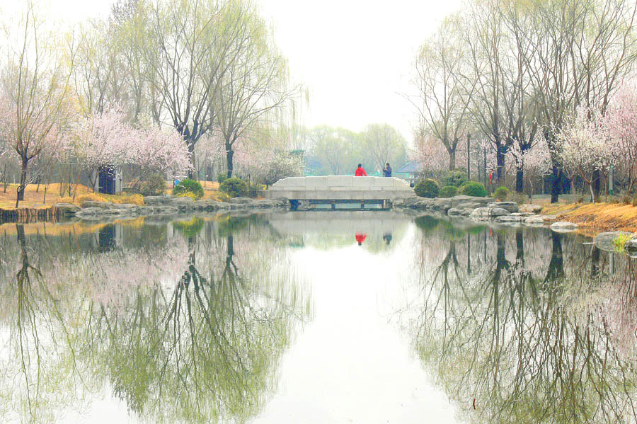 春日小景 摄影 宁宁