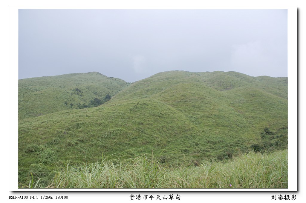 平天山草甸 摄影 刘鎏