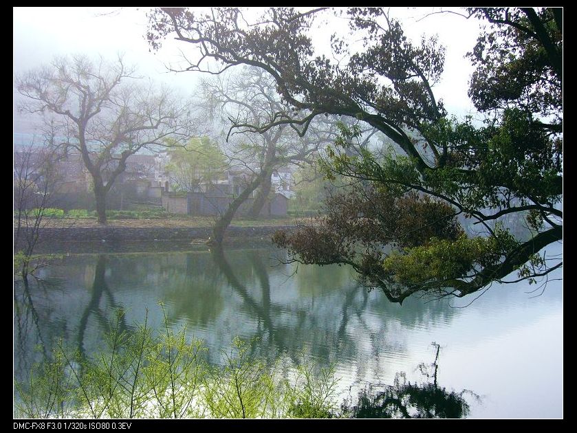 春晨 摄影 天涯漫步