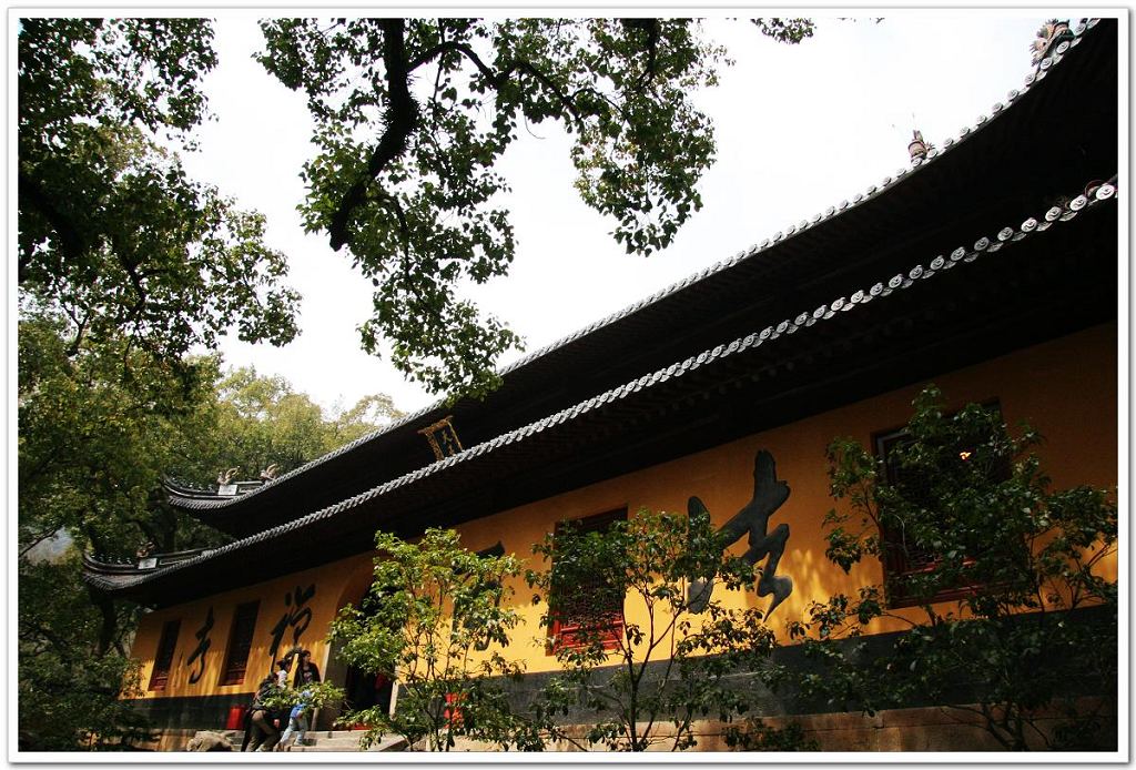 法雨禅寺 摄影 剩下的果实